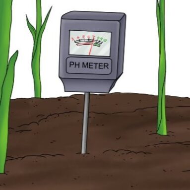 Wauzaji wa Soil pH Meters Tanzania